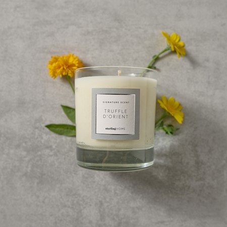 Sterling Home Fragrance Truffle D'Orient Candle primary image